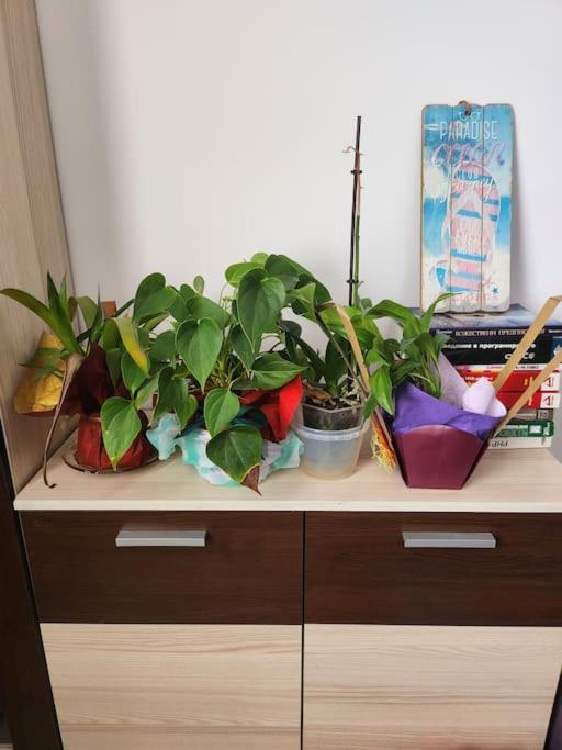 Modern Apartment. Best Location Σόφια Εξωτερικό φωτογραφία